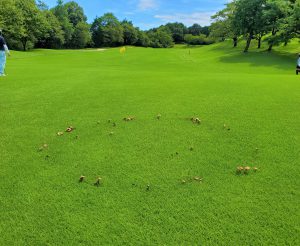 立川花子のゴルフ珍道中 立川国際カントリー倶楽部